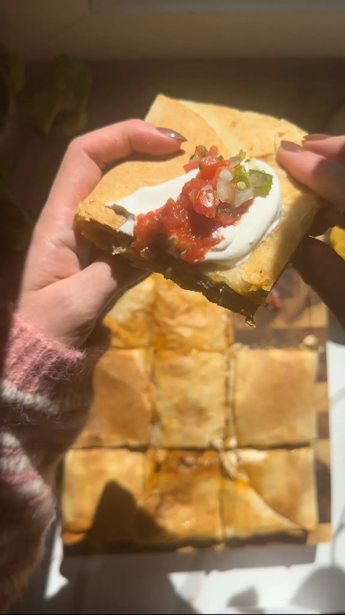Crunchy Quesadilla