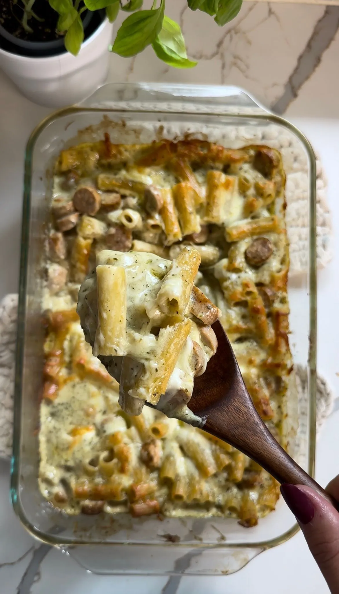 Chicken Alfredo