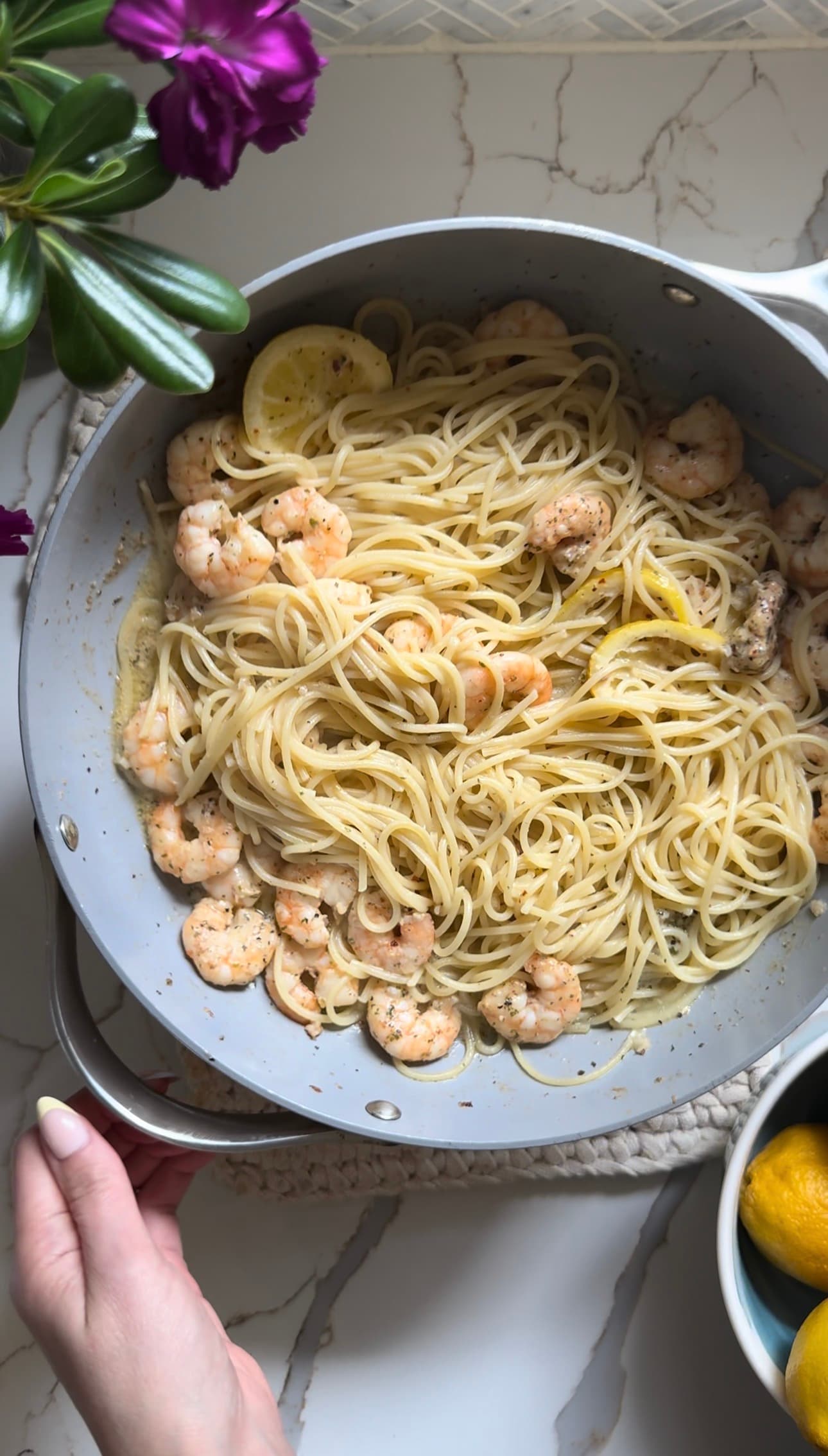 Shrimp Parmesan Butter Pasta